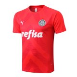 2022-2023 Palmeiras Red Short Football Training Shirt Men's