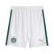 2024-2025 SE Palmeiras Home Football Shorts Men's