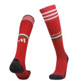 2022-2023 Mexico Home Men's Football Socks