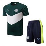 2022-2023 Palmeiras Green Football Training Set (Shirt + Short) Men's