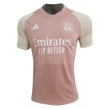 2023-2024 Olympique Lyonnais Pink Football Training Shirt Men's #Pre-Match
