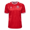 2024 Denmark Home EURO Football Shirt Men's