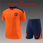 2023-2024 Netherlands Orange Football Training Set (Shirt + Short) Children's
