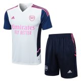 2022-2023 Arsenal Light Green Football Training Set (Shirt + Short) Men's