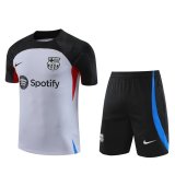 2023-2024 Barcelona Light Grey Football Training Set (Shirt + Short) Men's
