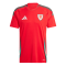 2024 Wales Home EURO Football Shirt Men's