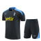 2024-2025 Tottenham Hotspur Dark Grey Football Training Set (Shirt + Short) Men's