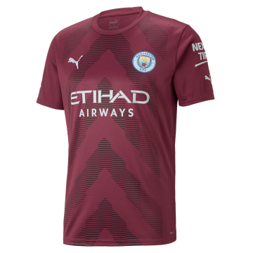 2022-2023 Manchester City Goalkeeper Brown Football Shirt Men's
