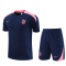 2024-2025 Atletico Madrid Royal Football Training Set (Shirt + Short) Men's