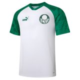 2023-2024 Palmeiras Green Football Training Shirt Men's
