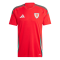 2024 Wales Home Football Shirt Men's