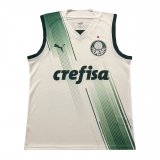 2023-2024 Palmeiras Away Football Singlet Shirt Men's