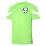 2023-2024 Palmeiras Green Football Training Shirt Men's