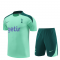 2024-2025 Tottenham Hotspur Light Green Football Training Set (Shirt + Short) Men's