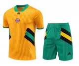 2023-2024 Bayern Munich Yellow Football Training Set (Shirt + Short) Men's