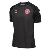 2022 Denmark Special Edition Black Football Shirt Men's