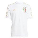 2023 Italy 125th Anniversary Football Shirt Men's #Special Edition